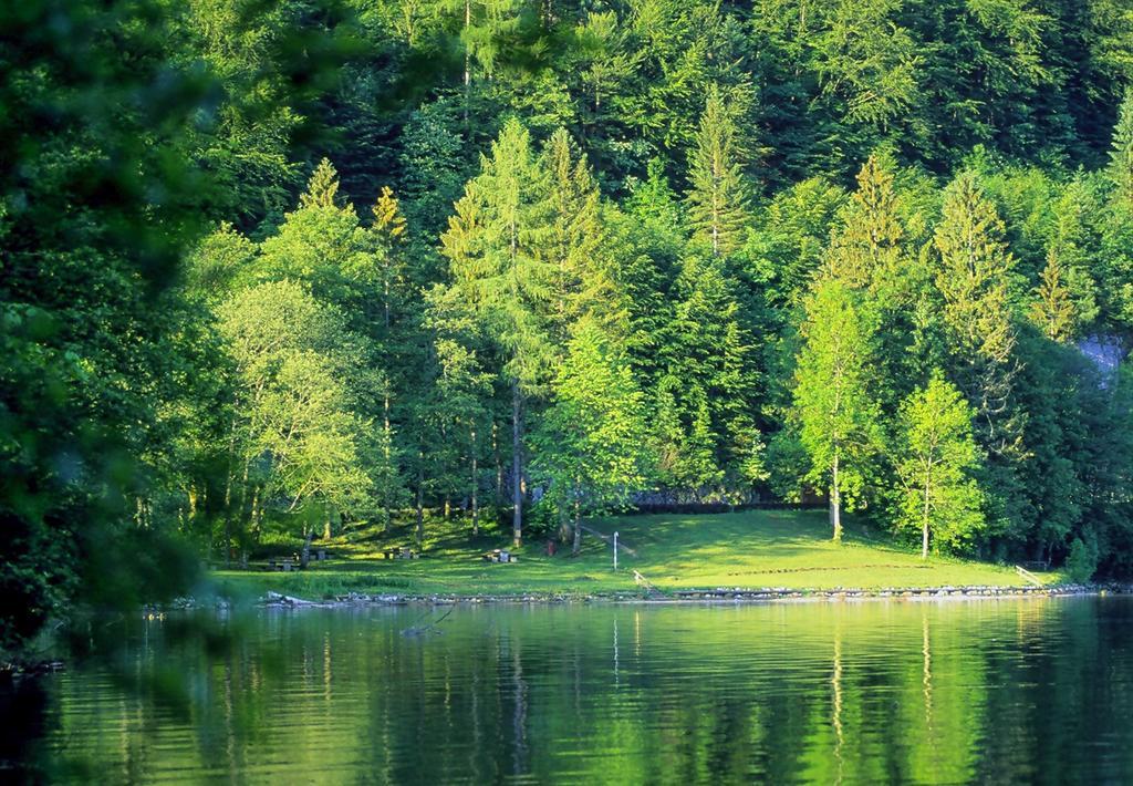 Park Am See Obertraun Esterno foto