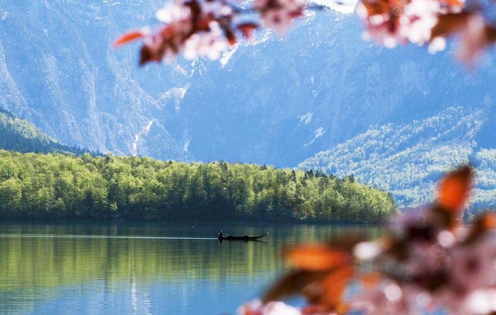 Park Am See Obertraun Esterno foto